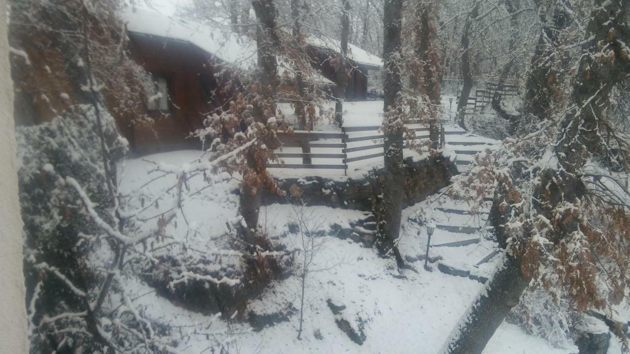 La Albarina ξενώνας Galende Εξωτερικό φωτογραφία